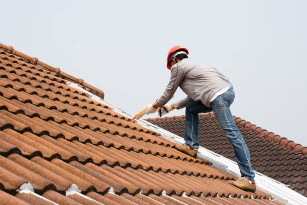Reliable Ruleville, MS Roofing services Solutions