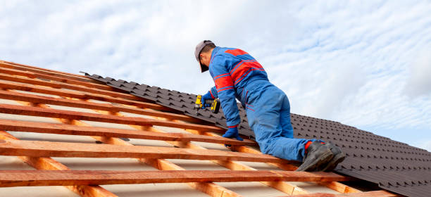 Best Roof Maintenance and Cleaning  in Ruleville, MS