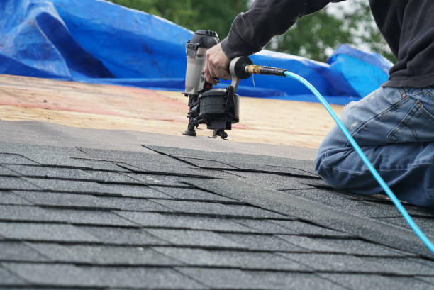 Best Storm Damage Roof Repair  in Ruleville, MS